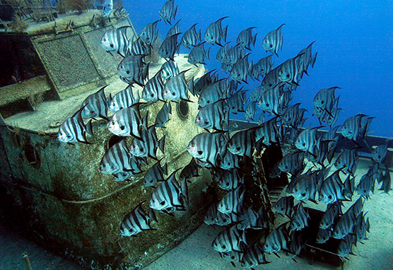 Sommer auf den Bahamas - Credit: © Bahamas Ministry of Tourism-Bahamas Tourist Office Nassau